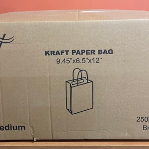 Case of 250 9.45 x 6.5 x 12" Natural Kraft Paper Shopping Bags with Handles
