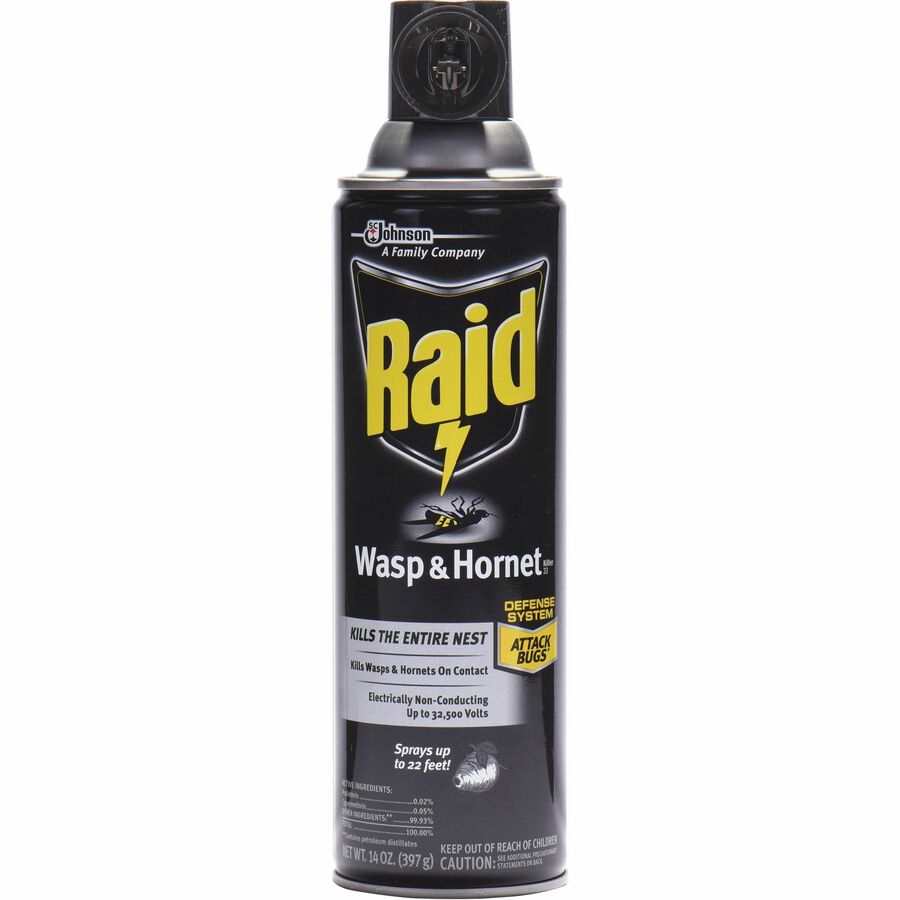 Raid Max Wasp & Hornet Killer 14 oz. Aerosol